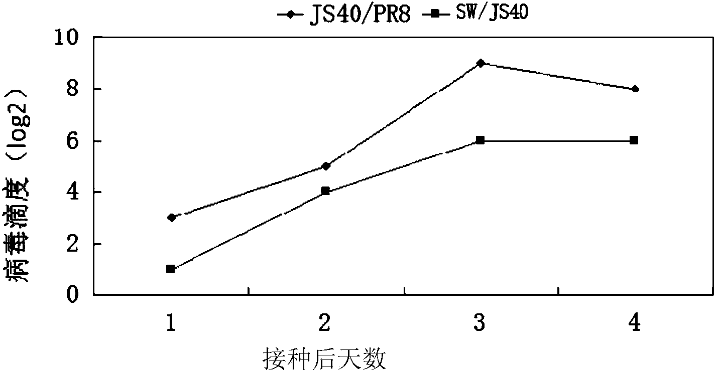 Recombinant homologous avian H1N1 influenza virus inactivated vaccine strain (JS40/PR8) as well as preparation method and application of inactivated vaccine strain