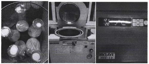 Rapid culture method of Bursaphelenchus xylophilus endoparasitic fungus Esteya vermicola