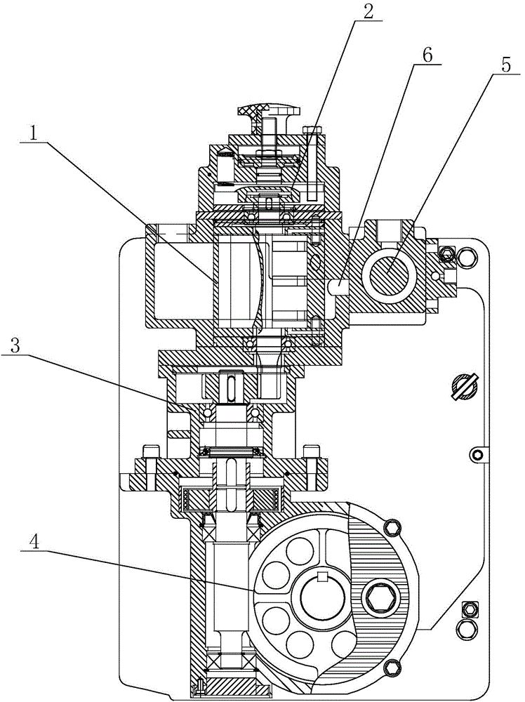 Pneumatic lifting device for hanging basket