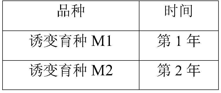 Sorghum dwarfing mutation breeding method