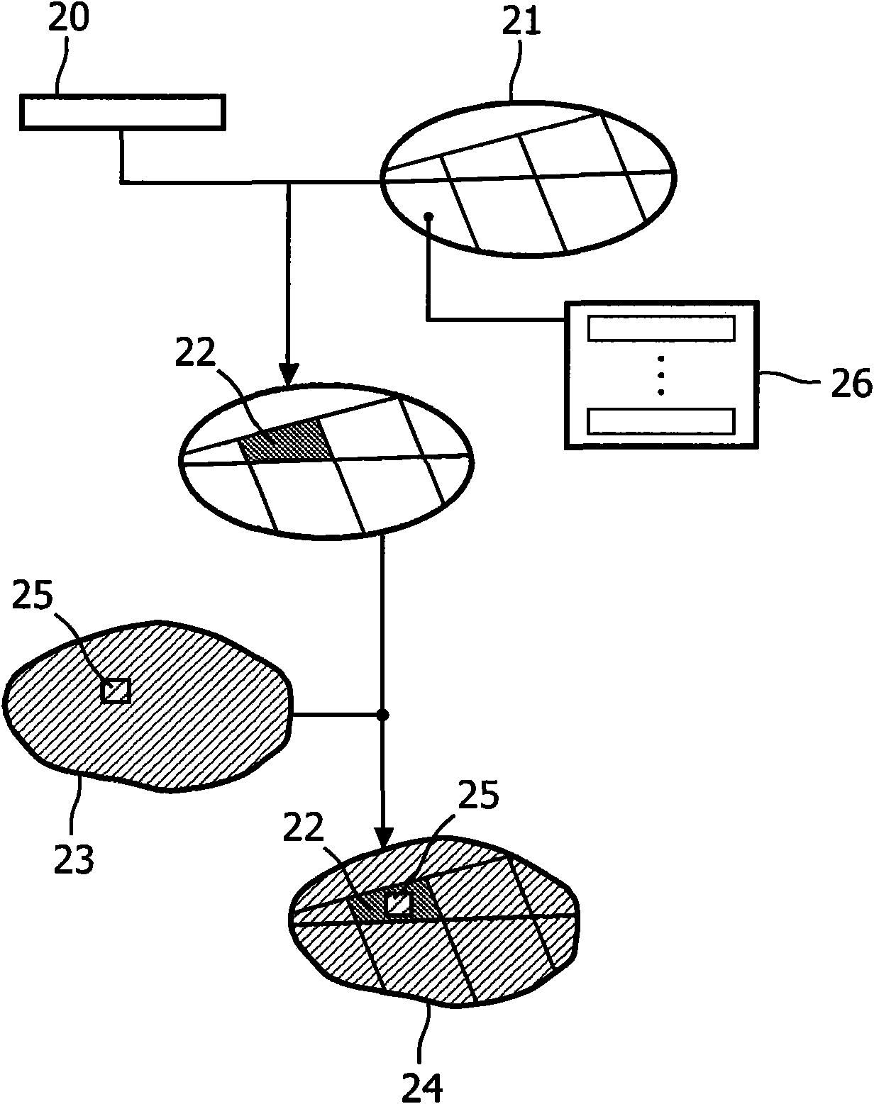 Image analysis of brain image data