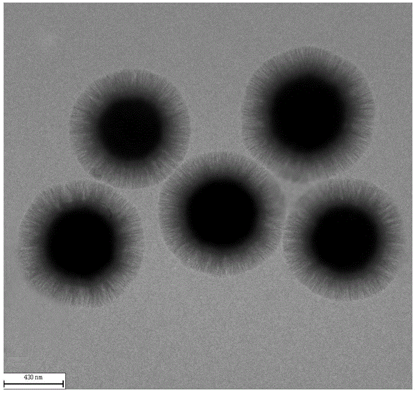 Preparation method of phenyl functionalized radial magnetic core-shell mesoporous silicon material