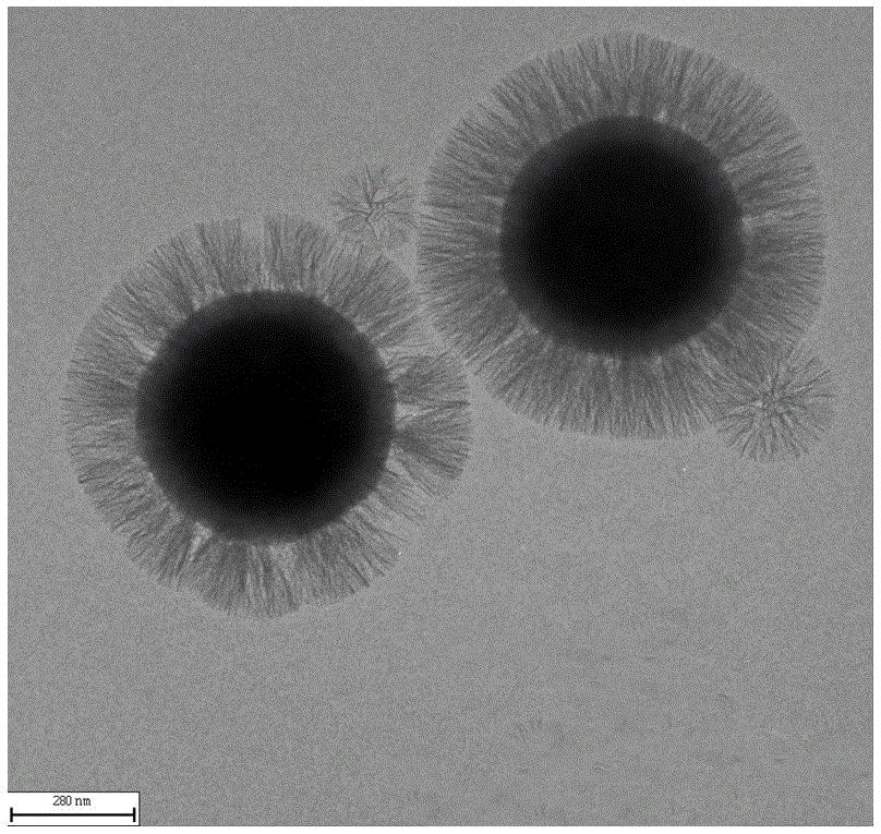 Preparation method of phenyl functionalized radial magnetic core-shell mesoporous silicon material