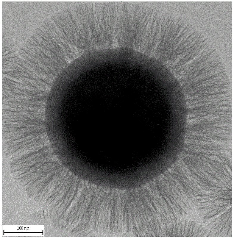 Preparation method of phenyl functionalized radial magnetic core-shell mesoporous silicon material