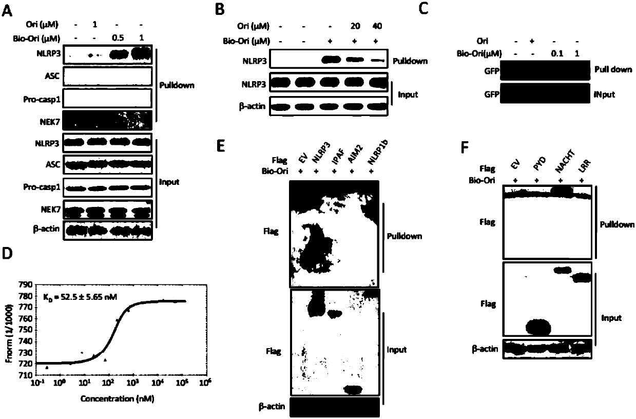 Application of oridonin in preparing drugs for preventing or treating NLRP3 inflammasome-related diseases