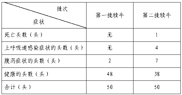 Traditional Chinese medicine preparation for preventing calf upper respiratory tract infection and diarrhea and its application method