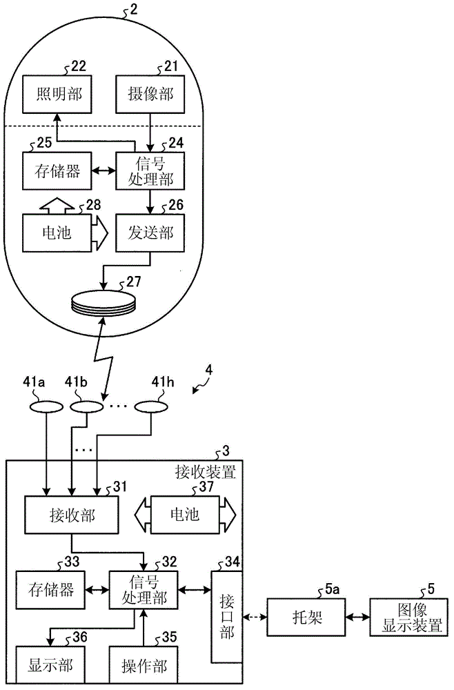 Image-display device and capsule-type endoscope system