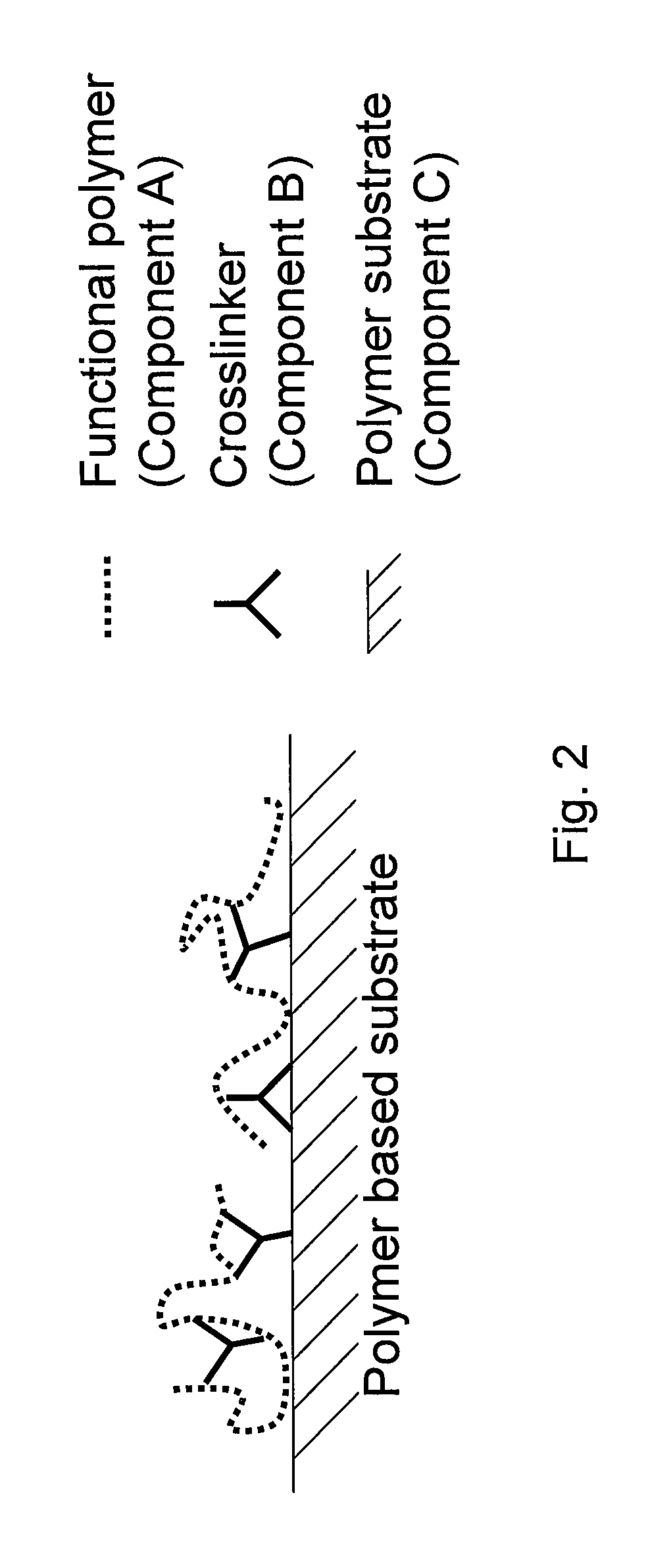 Surface modified polymeric materials, modified functionalized polymers, functional polymers, and methods