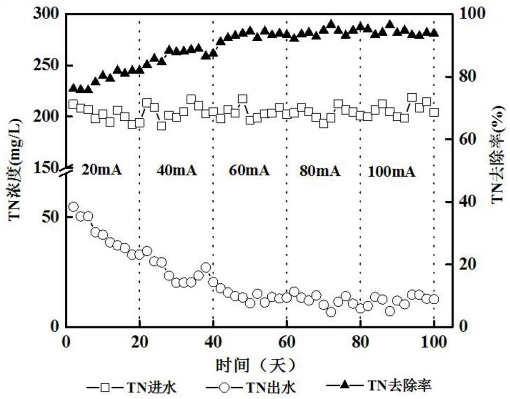 Device and method for deeply denitrifying landfill leachate through electrochemical coupling sulfur autotrophic denitrification system