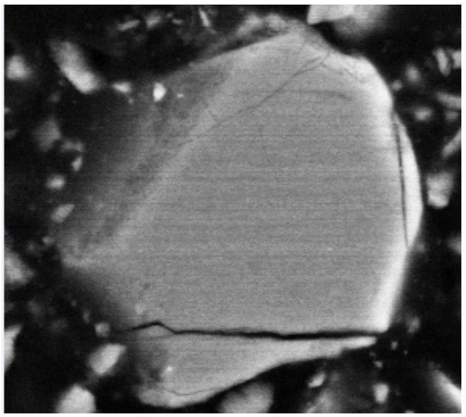 Method for judging silicate cement failure by microcosmic detection