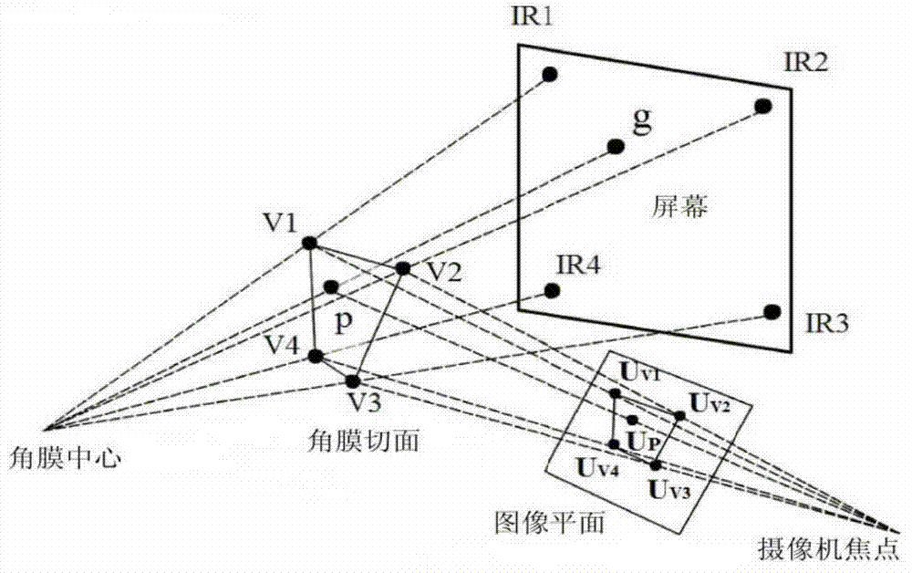 Non-contact sight-line tracking method based on self-adaptive calibration