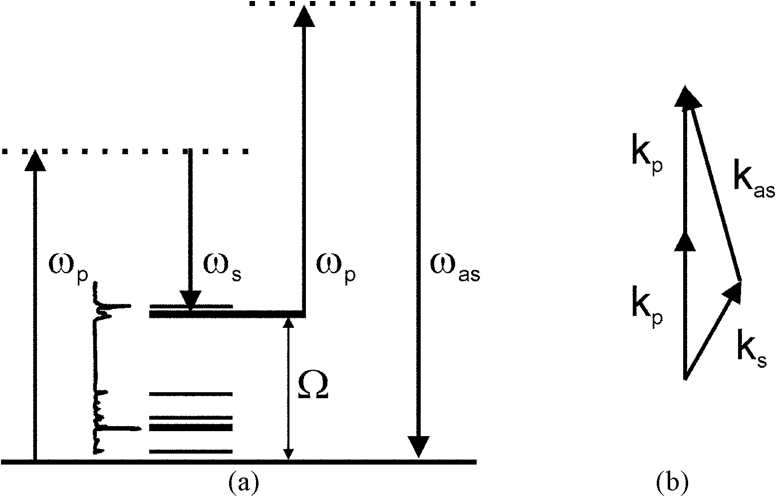 High-speed WFOV (wide field of view) CARS (coherent anti-stokes raman scattering) microscope system and method