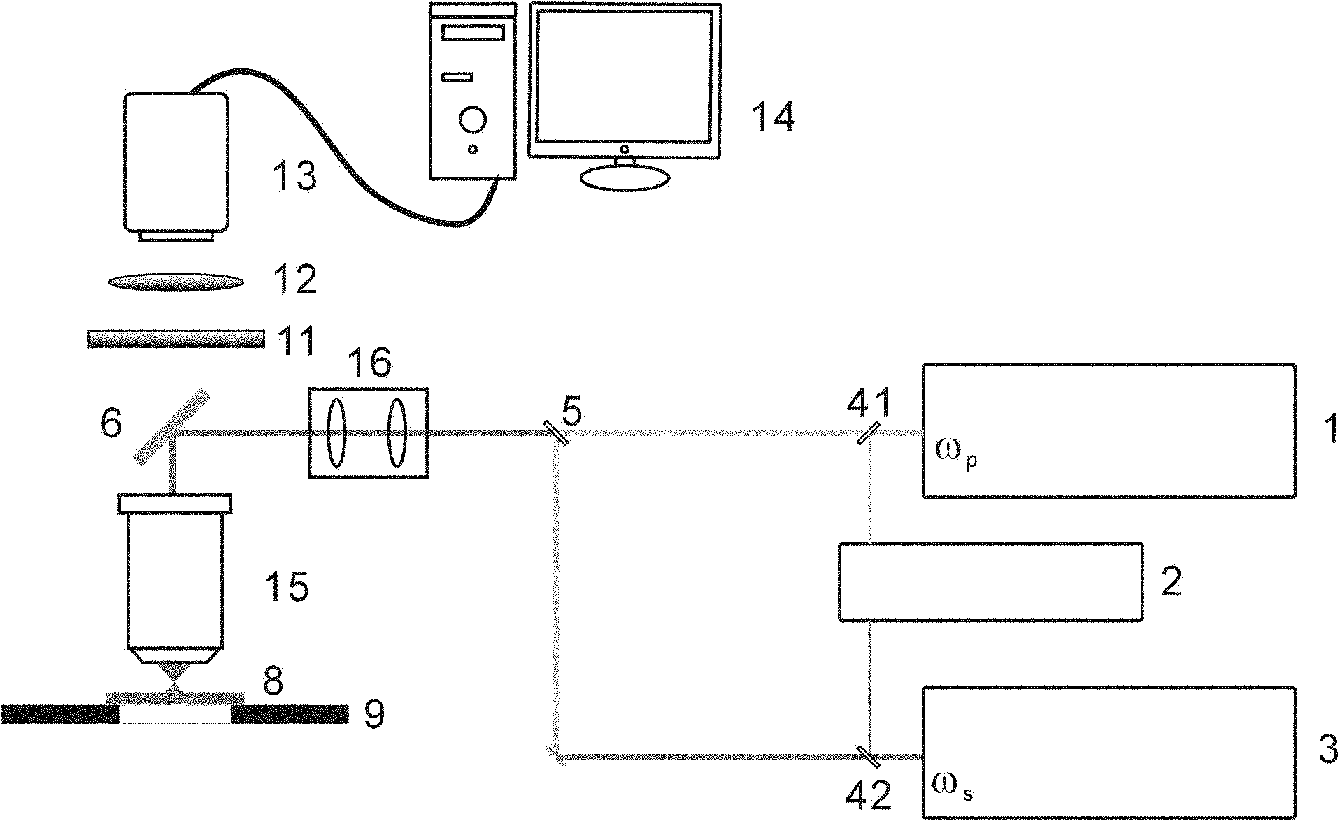 High-speed WFOV (wide field of view) CARS (coherent anti-stokes raman scattering) microscope system and method