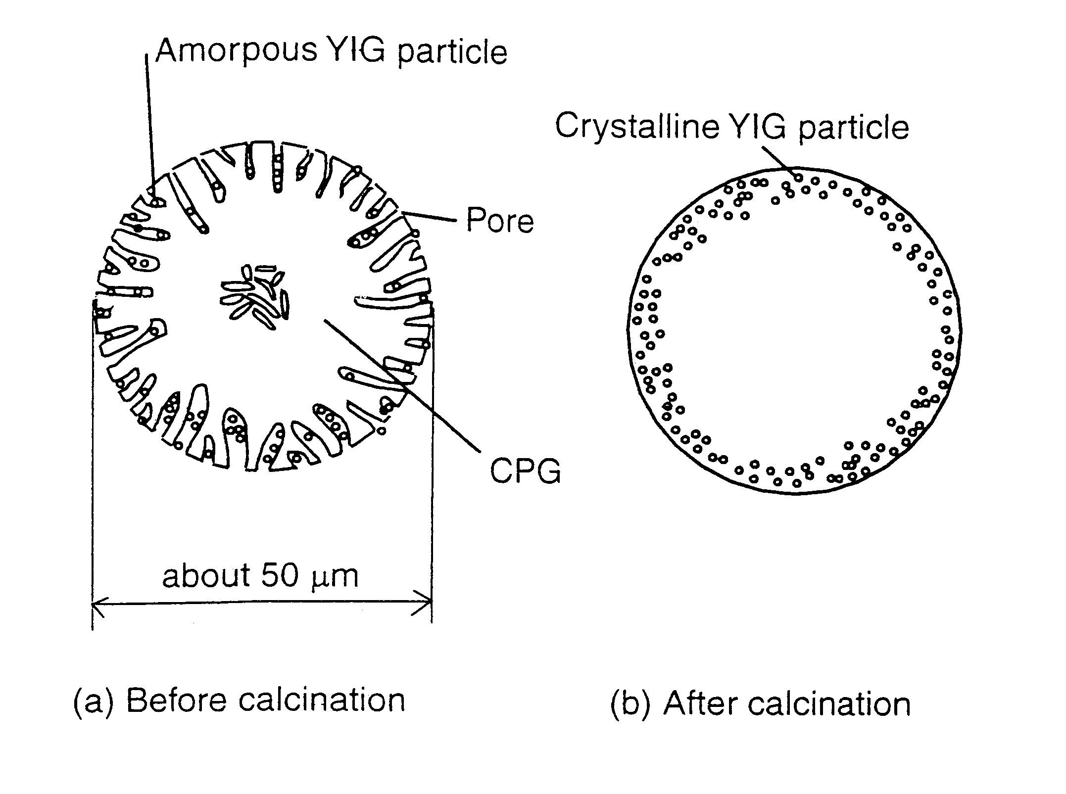 Glass composite including dispersed rare earth iron garnet nanoparticles