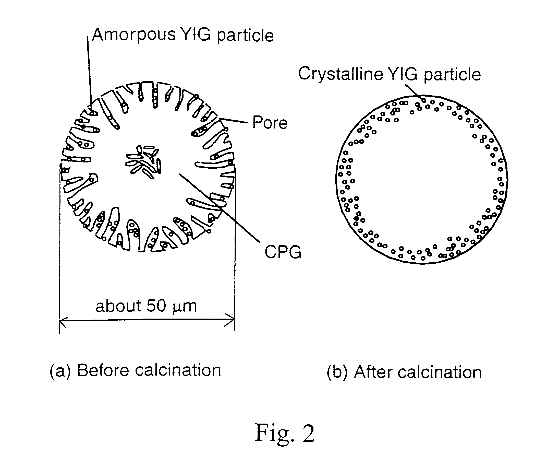 Glass composite including dispersed rare earth iron garnet nanoparticles