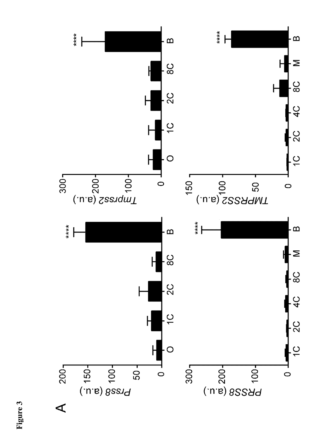 Preimplantation screening