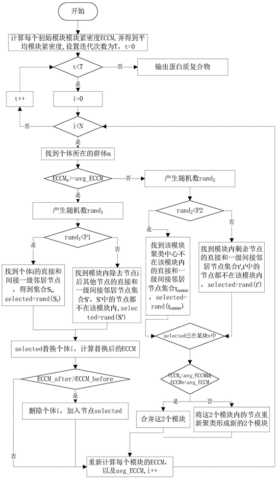 Method for identifying protein complex based on BSO (Brain Storm Optimization)