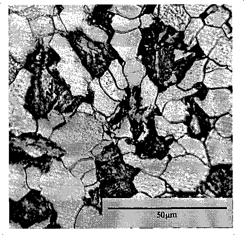 Boron micro-alloying low-carbon two-phase steel produced by hot continuous rolling process and its preparation method