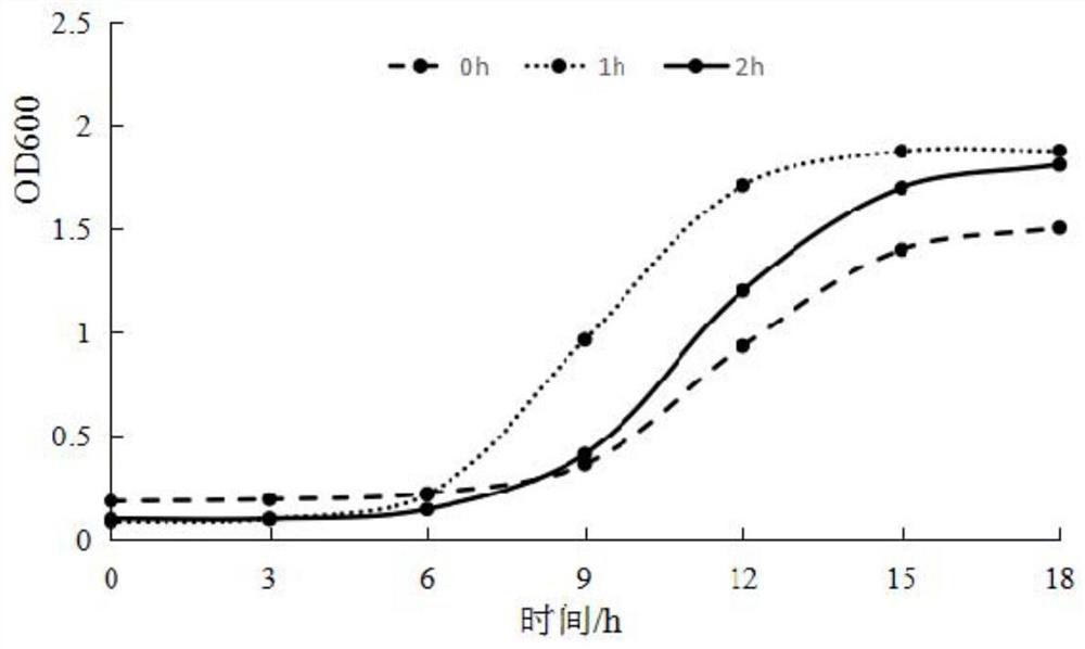 A kind of Enterococcus faecium r40 and its application in lowering cholesterol, producing exopolysaccharide and antioxidation