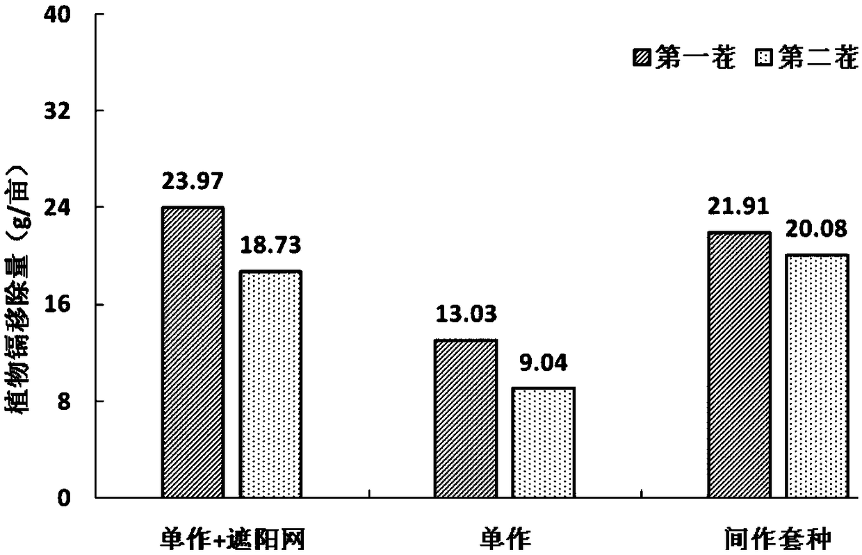 Cadmium-contaminated soil remediation method