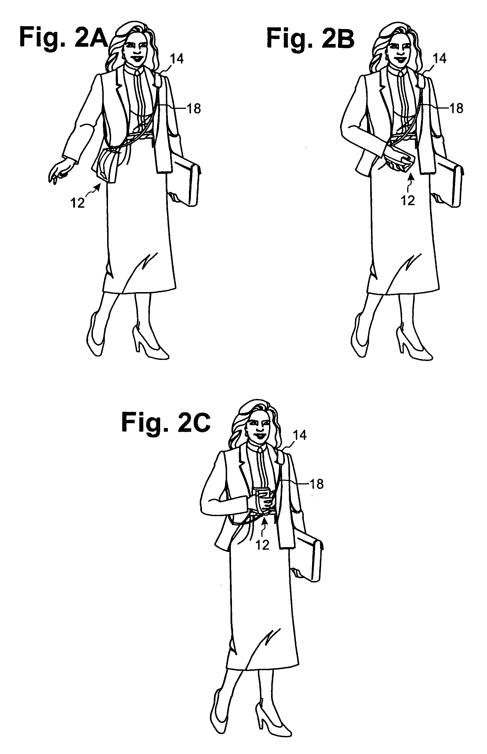 Carrier for a portable device