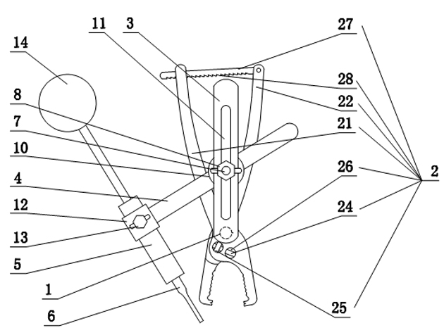 Cervical pedicle screw alignment apparatus