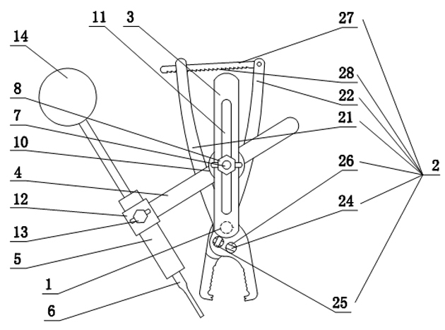 Cervical pedicle screw alignment apparatus