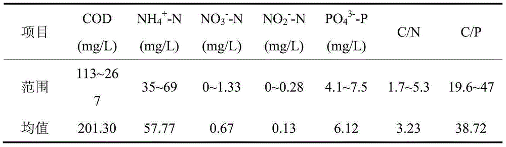 A2/O-MBR-biological contact oxidation pond dual-sludge high-efficiency denitrifying phosphorus removal device and method