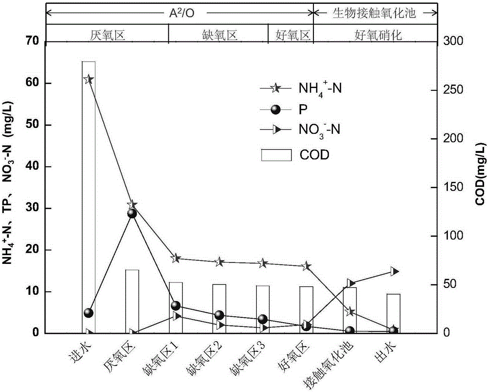 A2/O-MBR-biological contact oxidation pond dual-sludge high-efficiency denitrifying phosphorus removal device and method