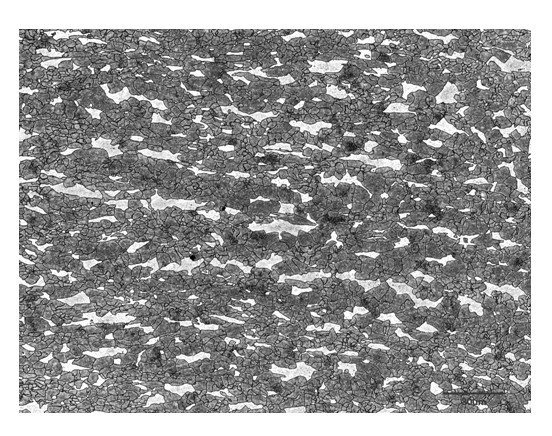 Hot rolled ferrite/martensite double phase steel and production method thereof