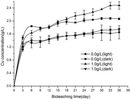 Method for promoting bacterial leaching of photocatalytic semiconductor sulphide minerals through graphene