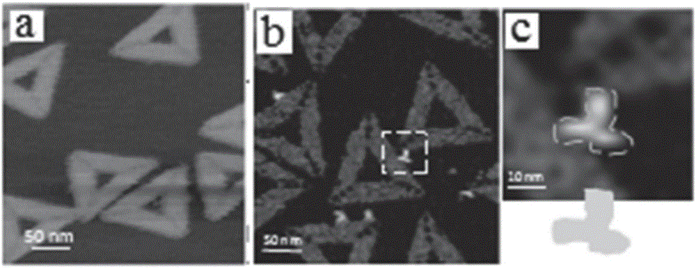 Sample preparation method employing AFM (Atomic Force Microscope) for single antibody molecule imaging