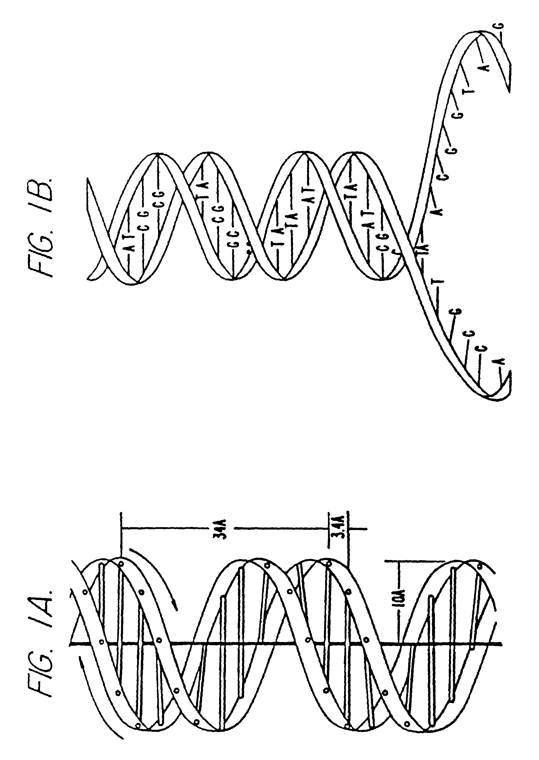 Methods for the electronic, homogeneous assembly and fabrication of devices