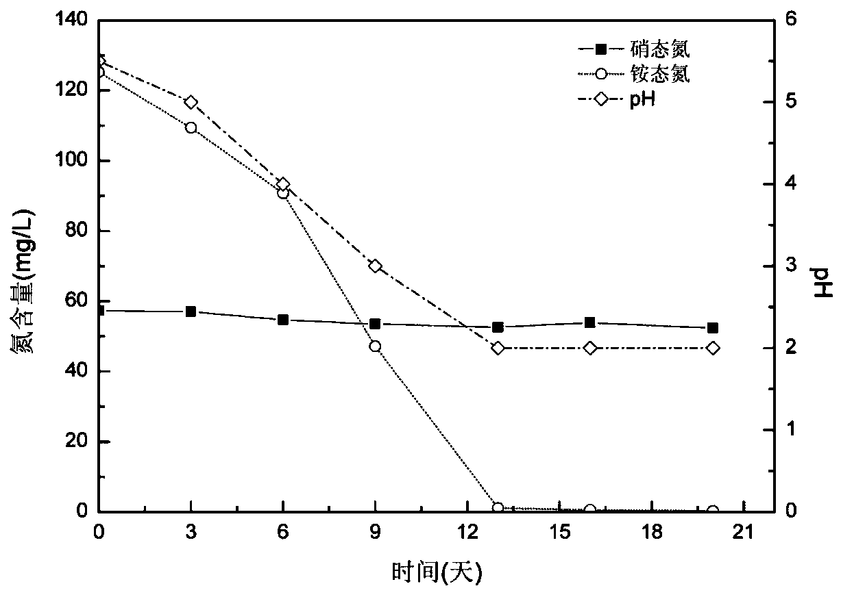 An orange algae artificial turf and its application in coupling ammonium nitrogen wastewater treatment and carotenoid production