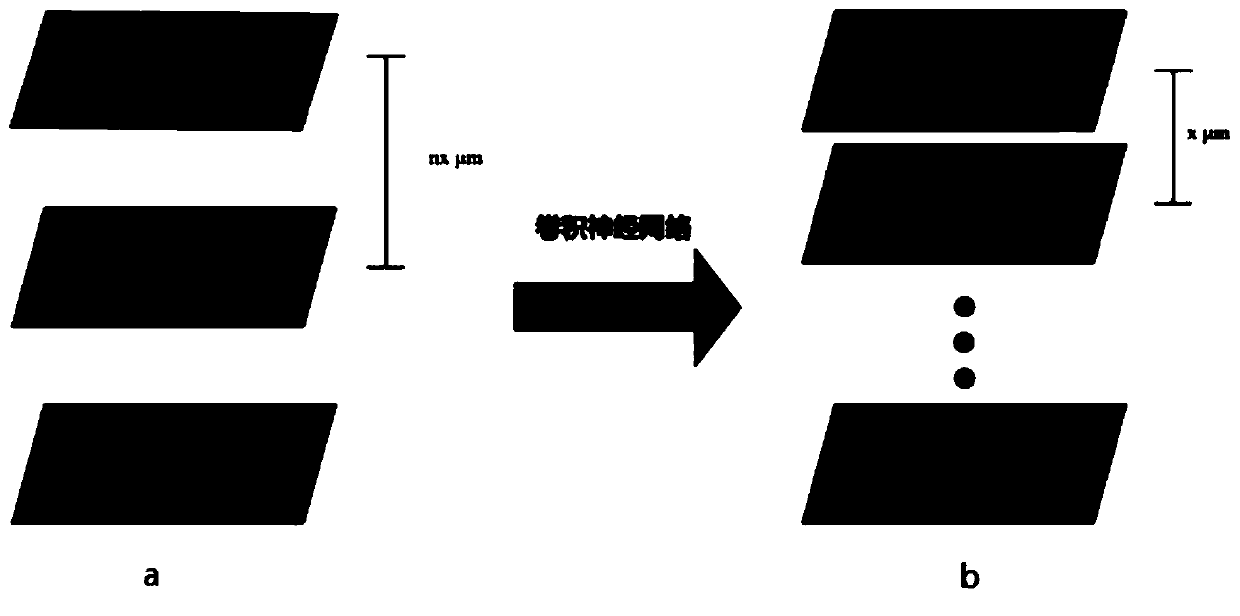 Rapid three-dimensional imaging method applicable to optical transparent sample