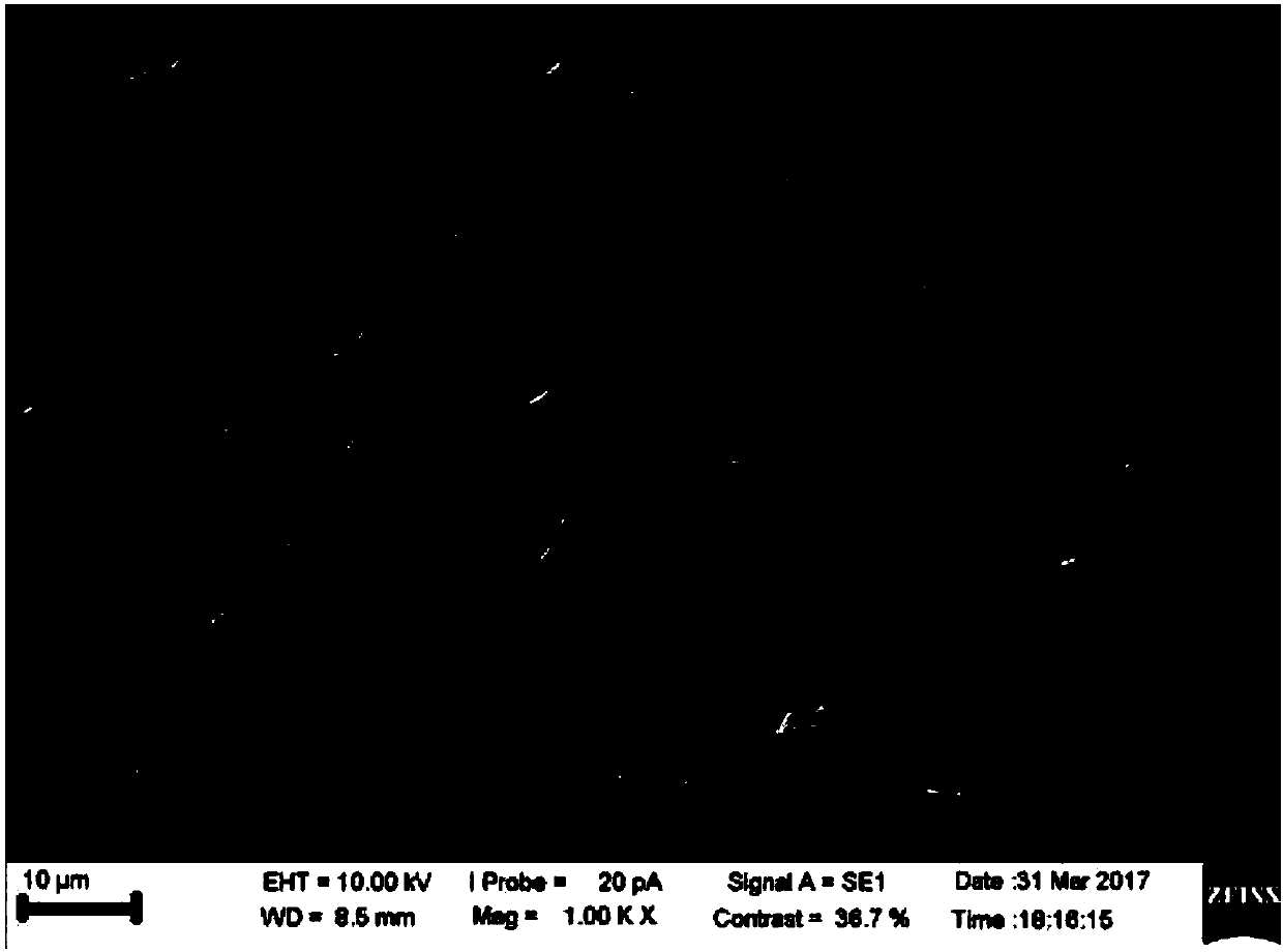 Silicon-carbon composite negative electrode material and preparation method thereof