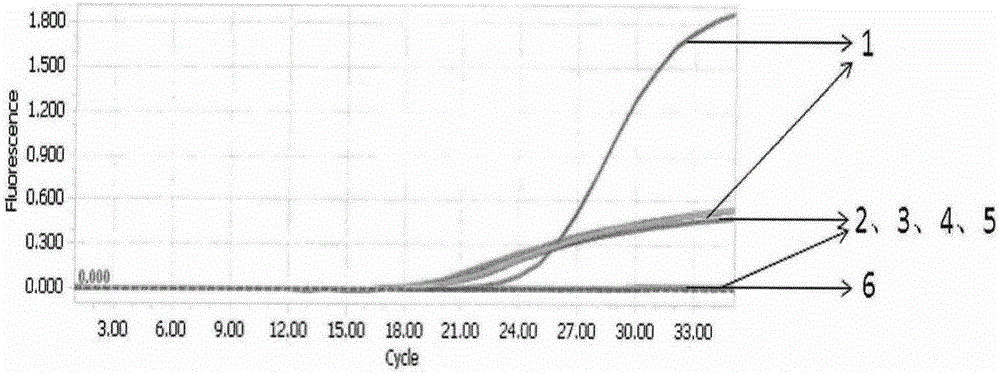 Method for identifying natural crocodile-skin leather