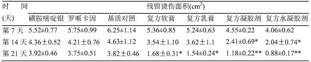 Medicinal preparation for promoting body surface wound healing and preparation method thereof