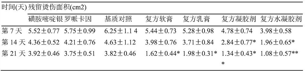 Medicinal preparation for promoting body surface wound healing and preparation method thereof