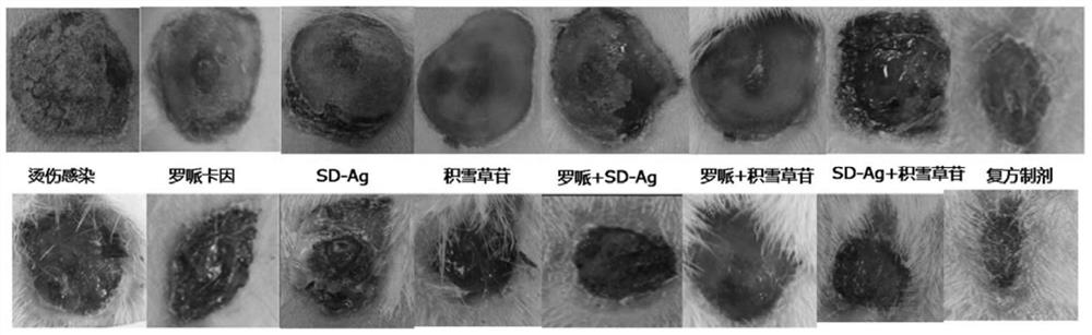 Medicinal preparation for promoting body surface wound healing and preparation method thereof