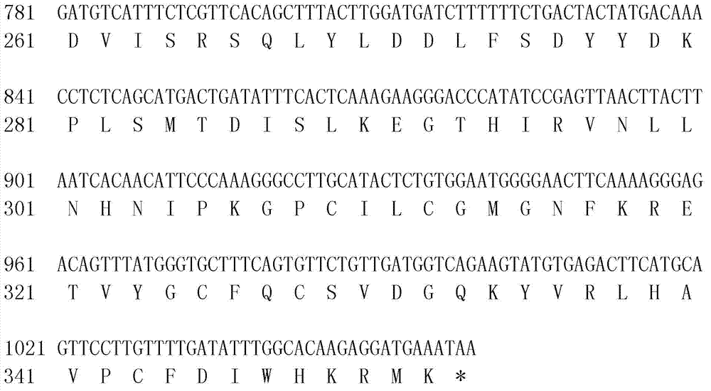 Detection kit for c.740G&gt;T mutation of PJVK gene