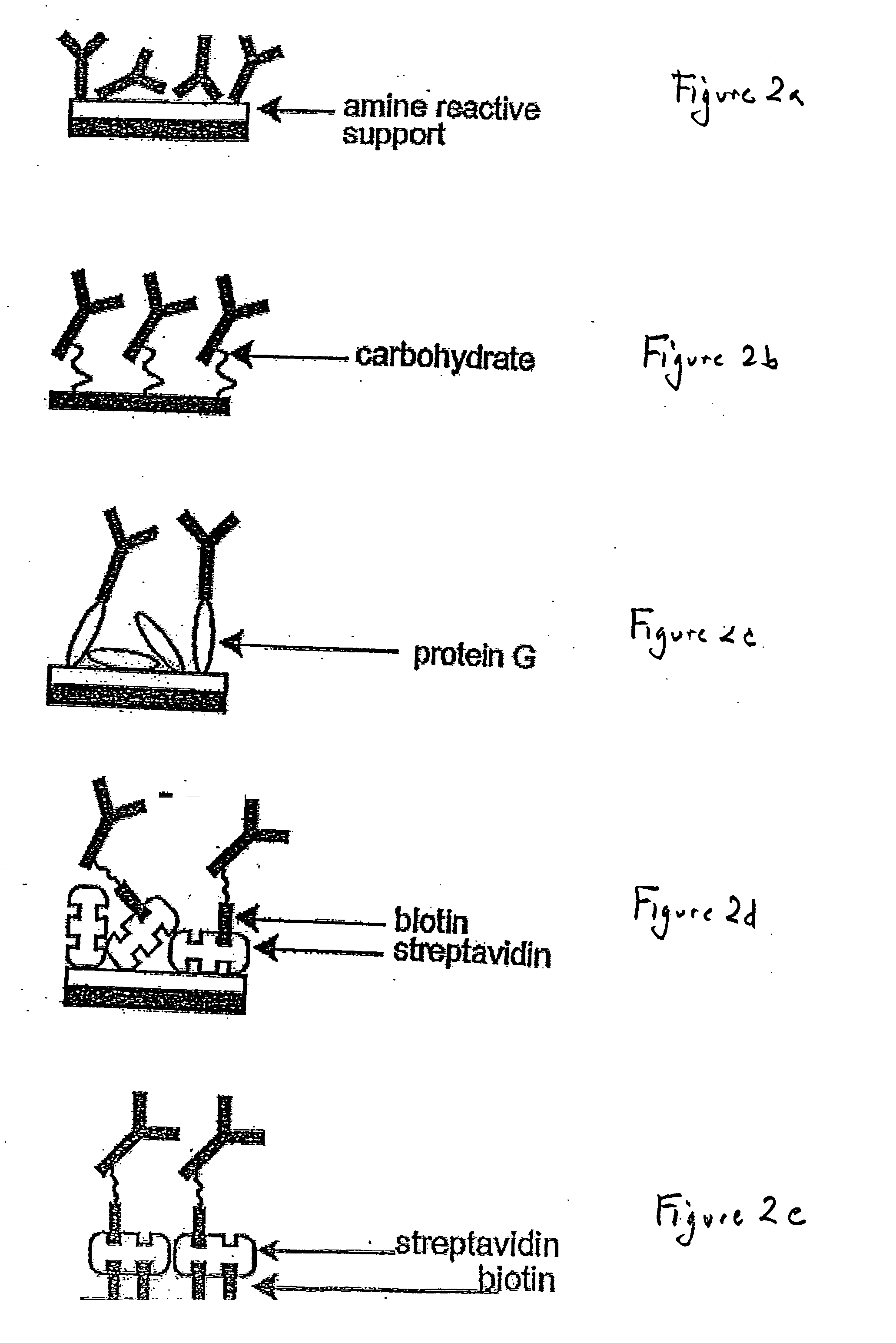 Piezoimmunosensor