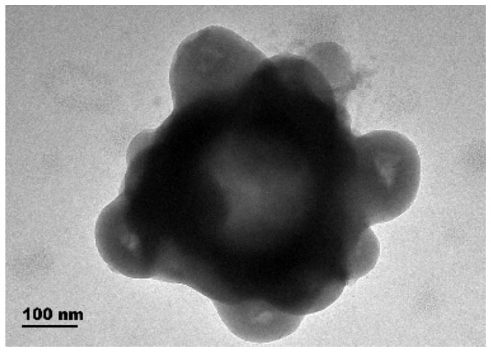 Boron nitride quantum dot modified nano-ring-shaped magnetic graphene oxide composite photocatalytic material and preparation method and application thereof