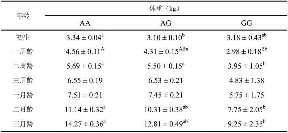 Molecular marker affecting early-stage growth of goats, detection method and application thereof