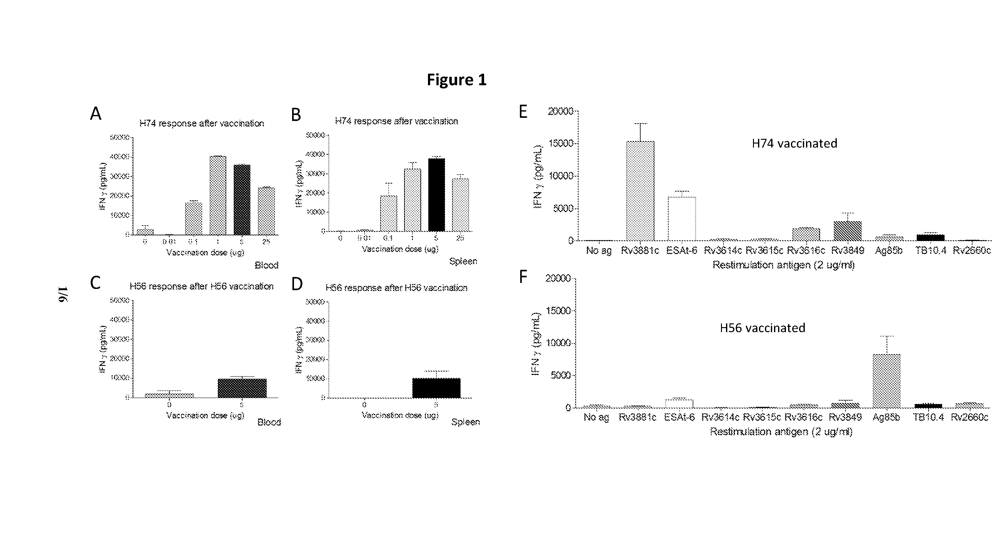 New m.tuberculosis vaccines