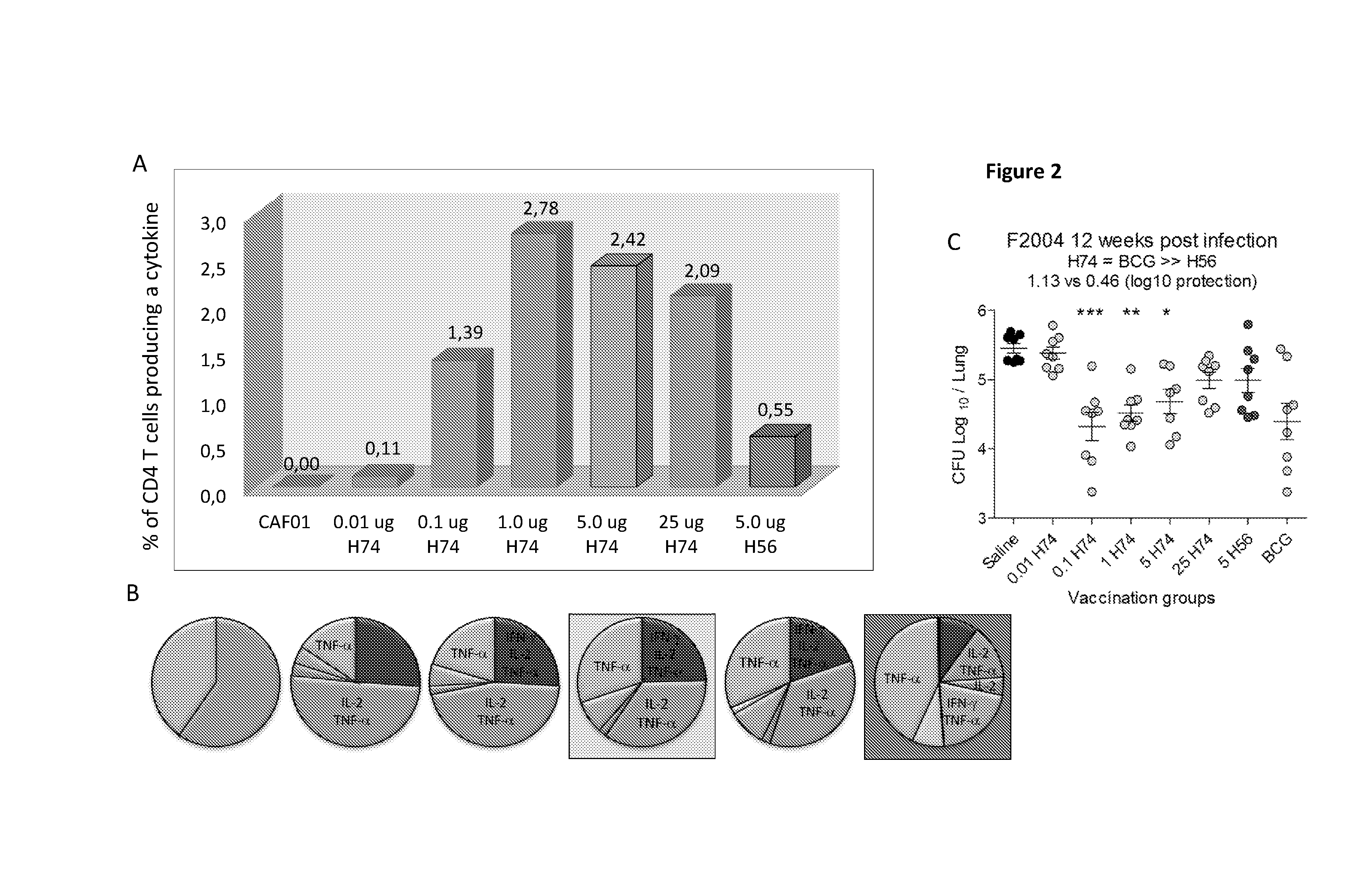 New m.tuberculosis vaccines