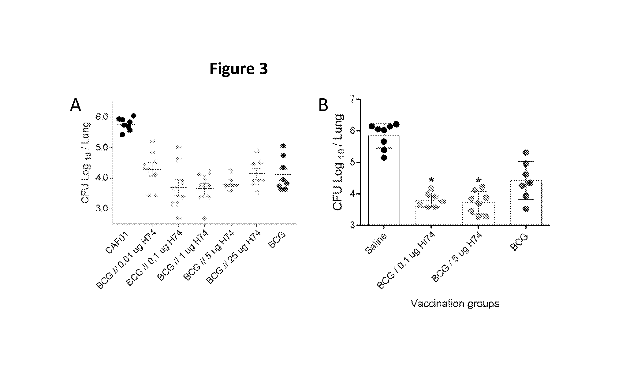 New m.tuberculosis vaccines