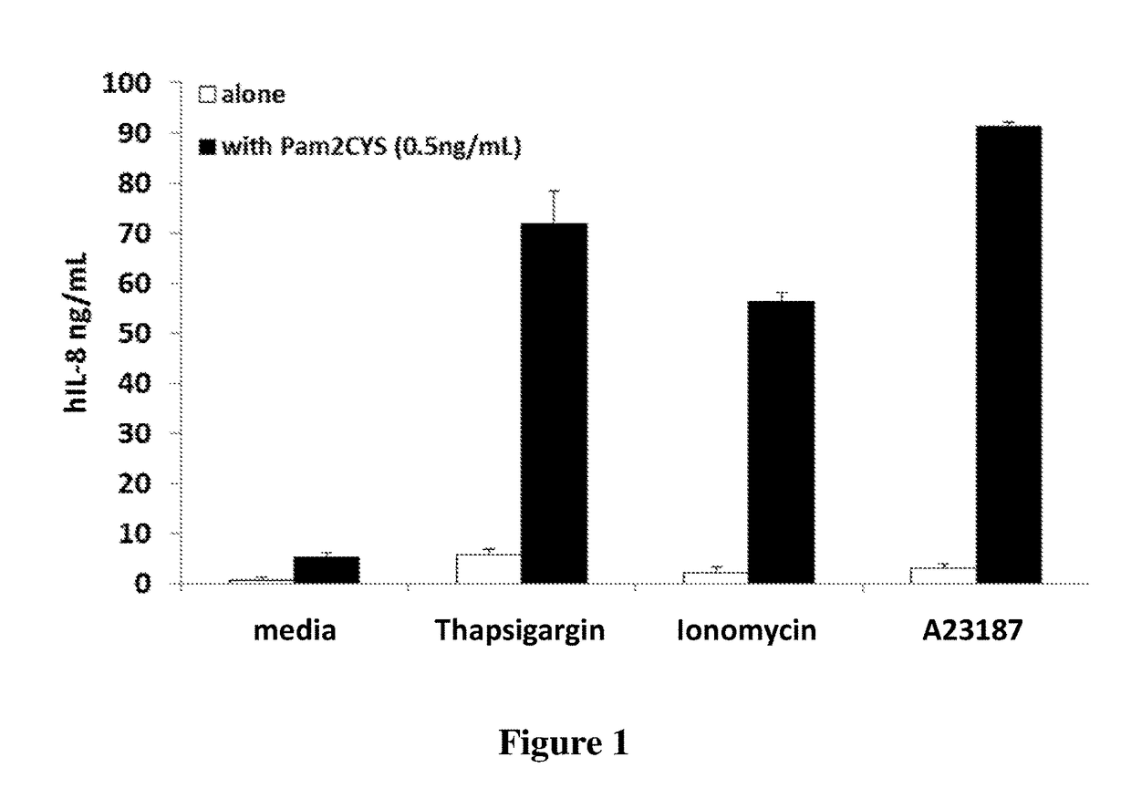 Compositions and methods of improved wound healing