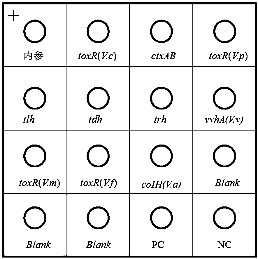 Method for detecting pathogenic vibrios