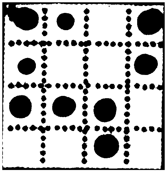 Method for detecting pathogenic vibrios